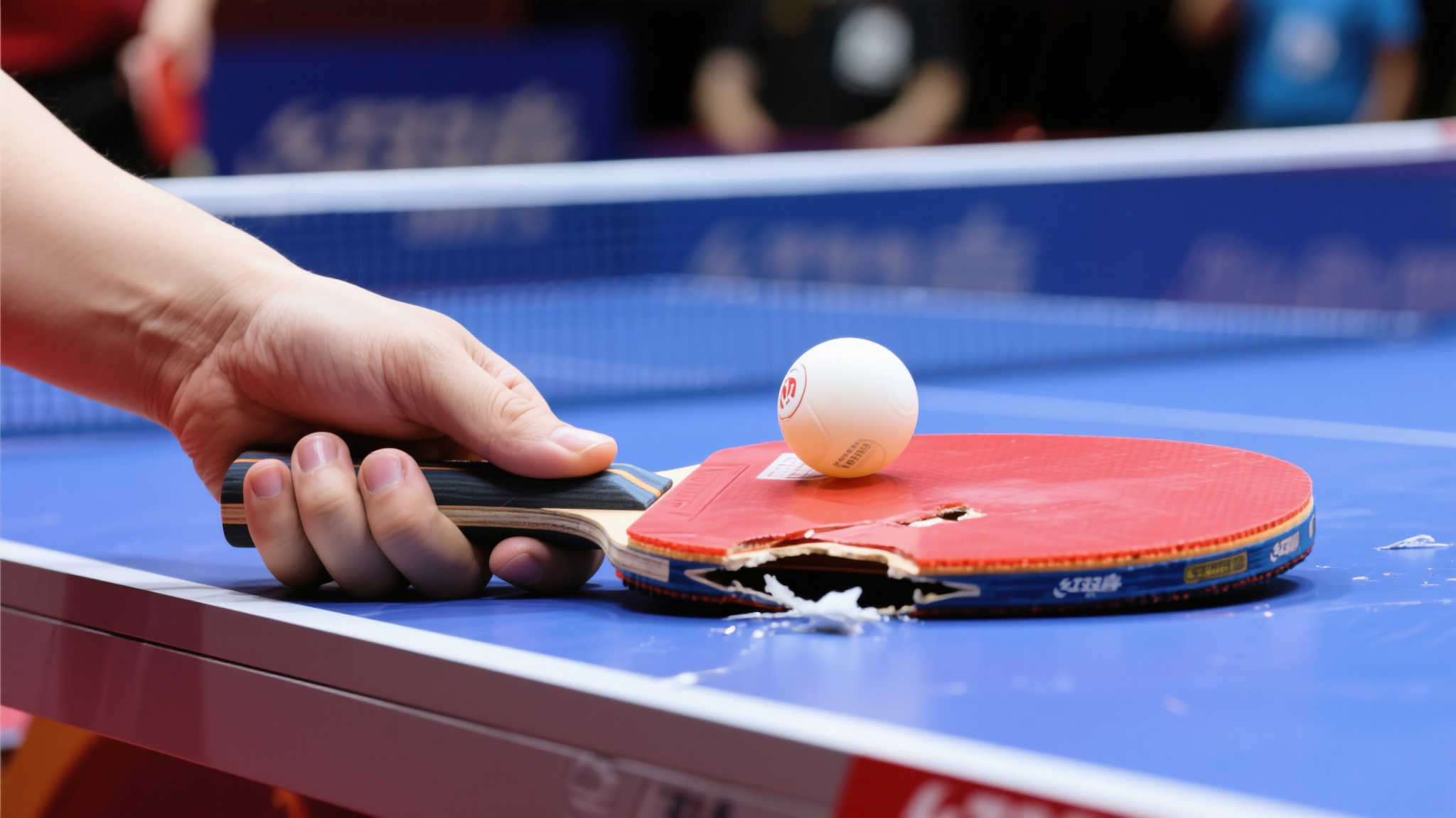 逐渐成为中 逐渐成为中