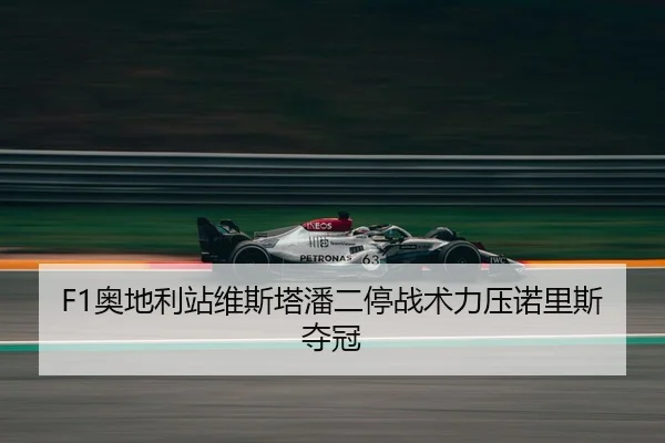 ao-di-li-zhan-wei-si-ta-pan-er-ting-zhan-shu-li-ya-nuo-li-si-duo-guan-3-259.jpg